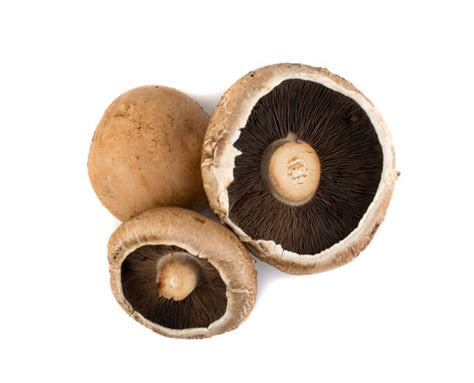Swiss Brown Mushrooms Per 100g Carusos Fresh Foods
