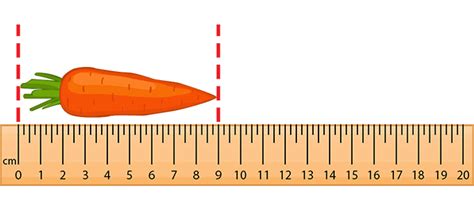 5 Things Measured In Centimeters Spesial 5