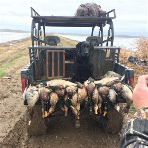 Arkansas Waterfowl Hunting Outfitter Stuttgart Duck N Dogs Hunting