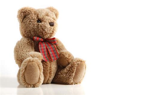 How did the Teddy Bear Get Its Name? - Pitara Kids Network