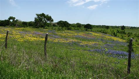 Partners for Conservation | Blackland Prairie - Texas