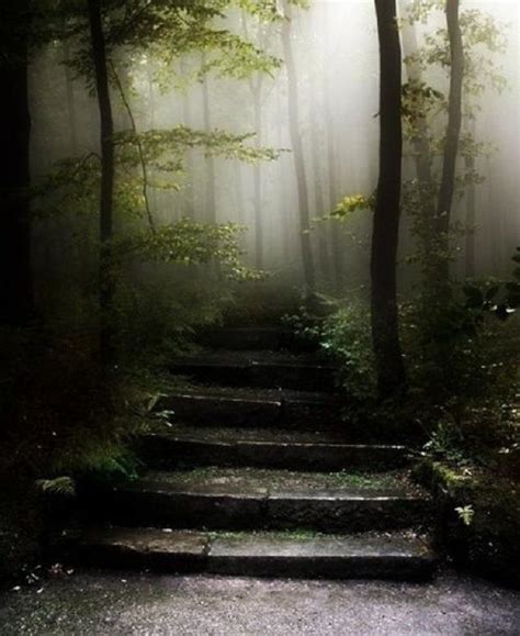 Forest Stairs Sintra Portugal In 2019 Nature Mists