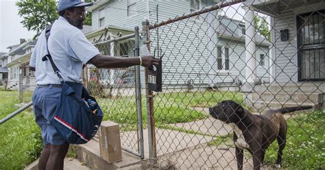 Louisville 5th Worst For Mail Carrier Dog Bites