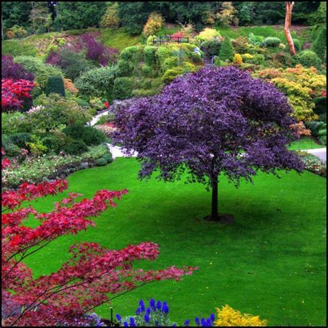 156 Best Images About Butchart Gardens On Pinterest