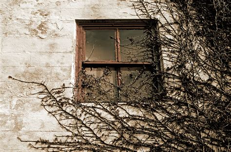 Mysterious Window Free Stock Photo Public Domain Pictures