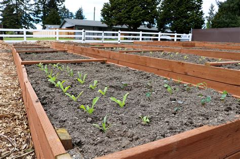 Maybe you would like to learn more about one of these? Gardening For Food Pantries - Greater Tacoma Community ...