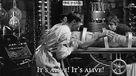 15 Frankenstein Quotes From The Iconic Movie Lifedaily