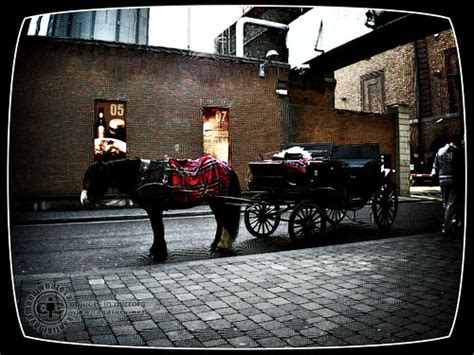 Horse N Buggy For The Upcoming Final Part Of The Travel Po Flickr