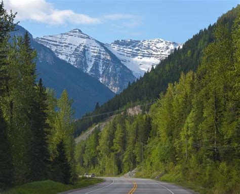Canadian Rockies Big Mountains And Big Horn Sheep Roads