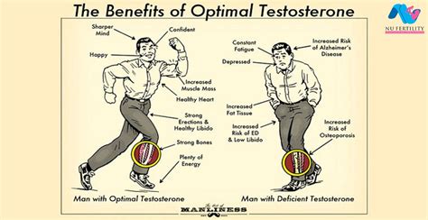 Symptoms Causes And Treatment Of Low Testosterone