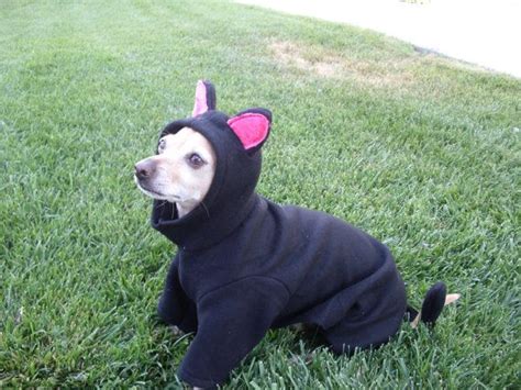 Black Cat Dog Costume All Sizes Available By Gypsyeyesclothing 3500
