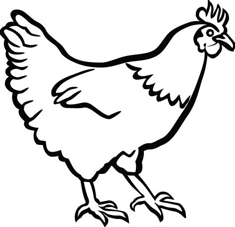 Free Chicken Clipart Black And White Free Download On Clipartmag