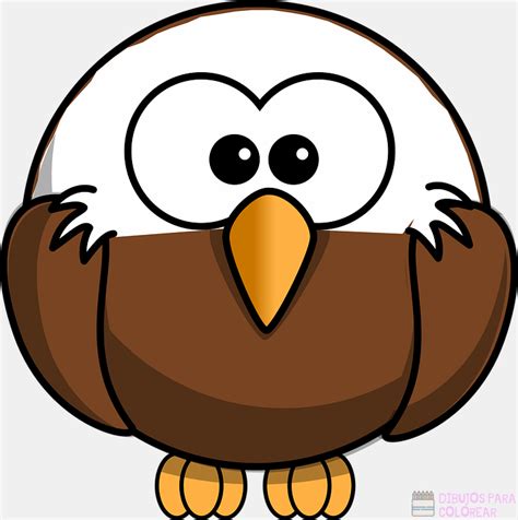 磊 Dibujos De águilas 250 Lindos Y Faciles Dibujos Para Colorear
