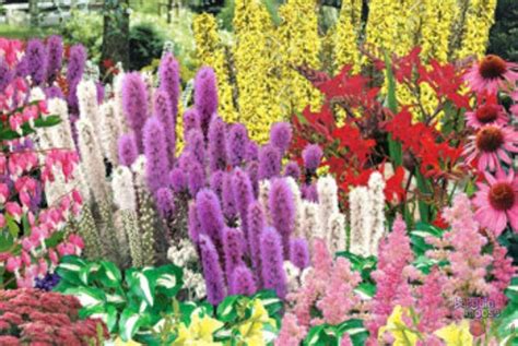 Check spelling or type a new query. Costco Canada: $15 Off Effortless Perennial Garden ...