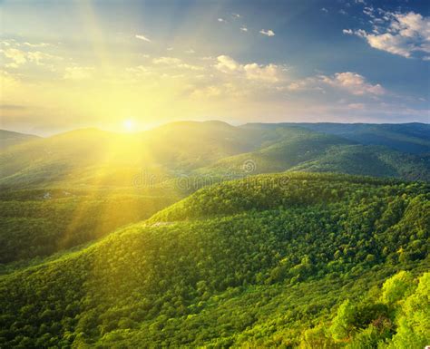 Sunny Morning In Mountain Stock Photo Image Of Forest 99135364