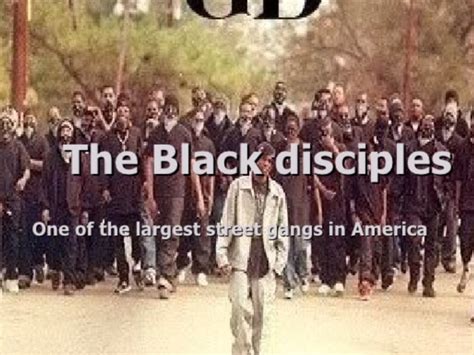 Who Started The Black Disciplessupport And Help Detail