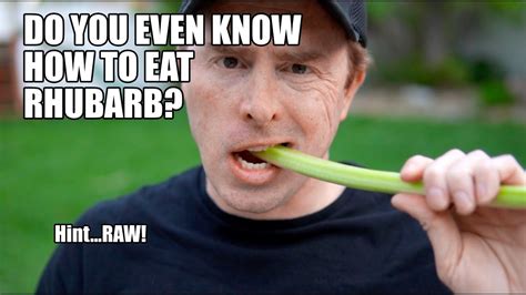 Can You Eat Green Rhubarb Update New Smokerestaurant