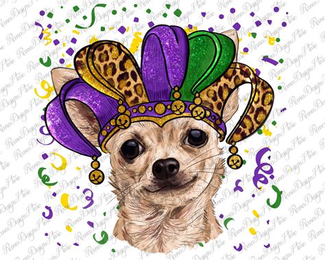 Mardi Gras Chihuahua With Hat Sublimation Designmardi Gras Etsy