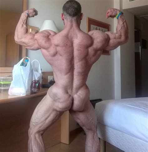 Back Anatomy Bodybuilding