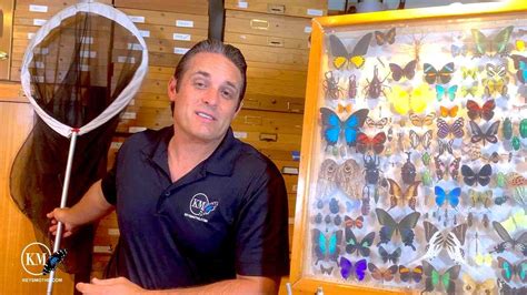 All About Butterfly Nets A Lepidopterists 1 Tool Youtube