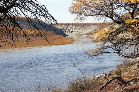Autumn Day On The Bank Of The Wild Siberian Taiga River Stock Image