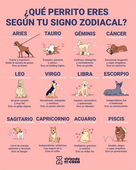 ¿qué perrito eres según tu signo zodiacal consejos para mascotas perros lenguaje de los perros