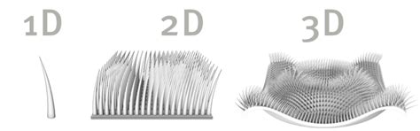 The Three Folds Design Of 3d Printing Hair Like Structure Download