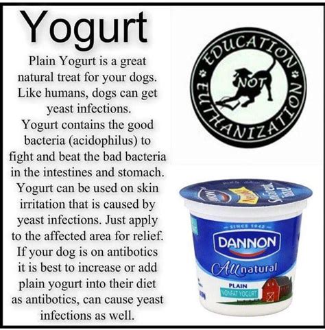Only feed your dog the best. Plain yogurt is a great treat that can help with yeast ...