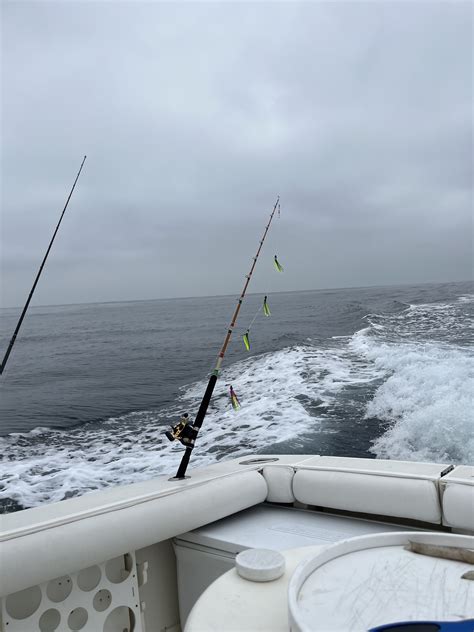 Inshore La Jolla Bones Bloodydecks