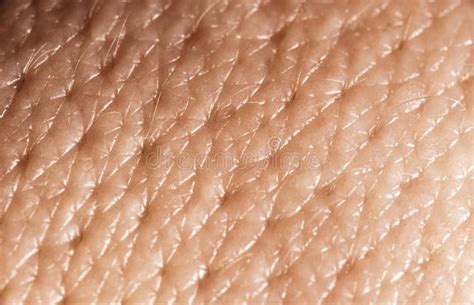 Human Skin Macro Stock Image Image Of Corneum Skin 14341663