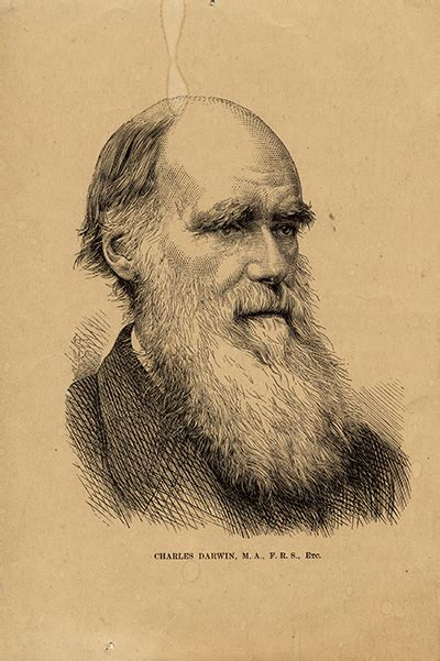 Happy Birthday Charles Darwin Hunt Institute For Botanical