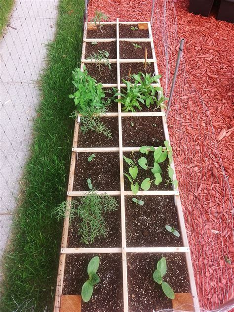The aim is to assist the planning and creating of a small but intensively planted vegetable garden. Pin on Garden Misc