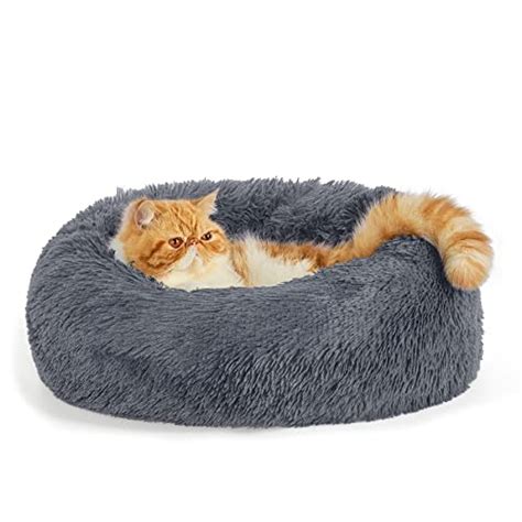 Bedsure Calming Cat Beds For Indoor Cats Large Cat Bed Washable 20
