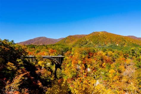 指定なし 北海道 青森 岩手 秋田 宮城 山形 福島 山梨 茨城 栃木 群馬 埼玉 千葉 東京 神奈川 長野 新潟 富山 石川 福井 静岡 愛知 岐阜 三重 滋賀 京都 大阪 兵庫 奈. 宮城観光でおすすめの絶景スポット15選 ｜ ガジェット通信 GetNews