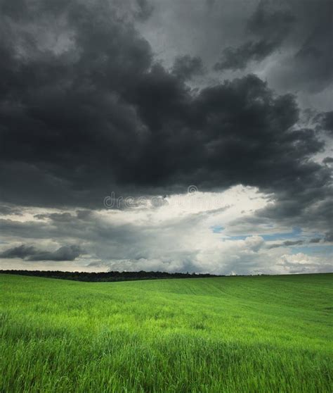 Storm Clouds Stock Image Image Of Natural Grass Morning 8658889