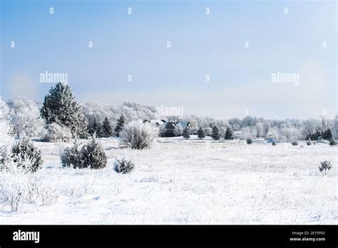 Beautiful Rural Winter Scene With Snow Covered Plants And Trees Stock