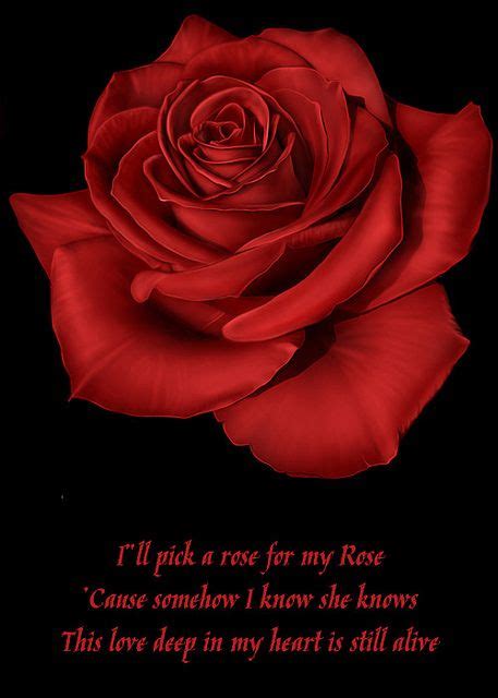 Music Pictures Hobbies And Crafts Tattoo Inspiration Red Roses