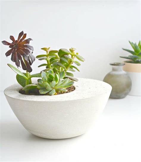 Make your own quick concrete planters for the. Concrete Molds | Upcycle That
