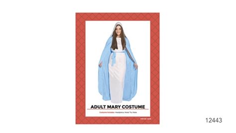 Adult Mary Costume Costume Wonderland