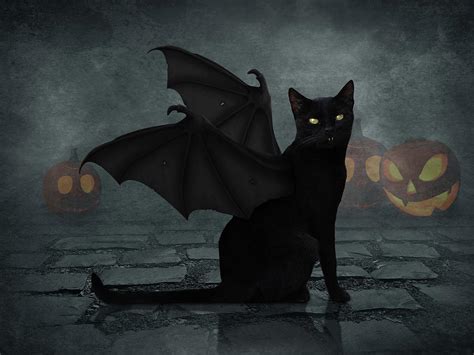 Bat Cat Digital Art By Mihaela Pater Fine Art America