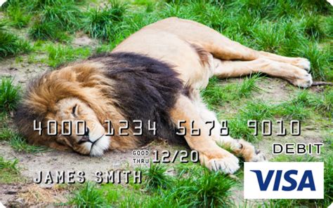 Credit card design designed by brice corbin. Lion Design CARD.com Visa® Prepaid Card | CARD.com