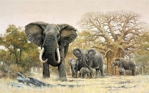 Elephant Herd And Baobab Trees 1997 Johan Hoekstra Wildlife Paintings