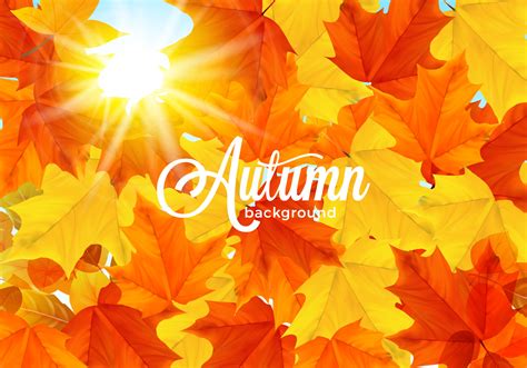 Sunlit Warm Fall Leaves Background 260761 - Download Free Vectors, Clipart Graphics & Vector Art