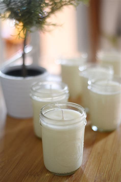 Diy Citronella Candles Keep Mosquitoes At Bay Feathers In Our Nest