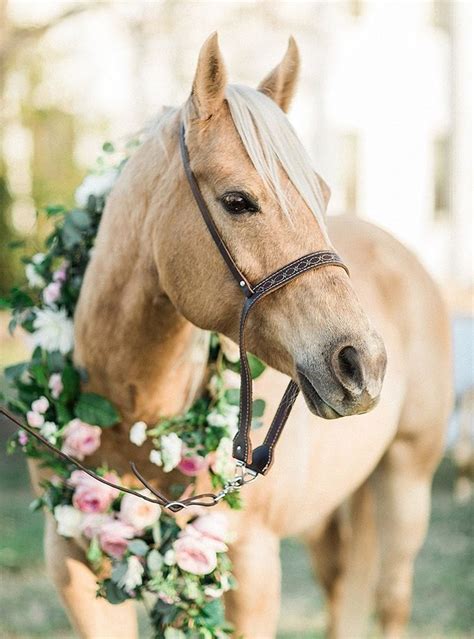 Elegant Southern Wedding Inspiration Glamour And Grace Pretty Horses