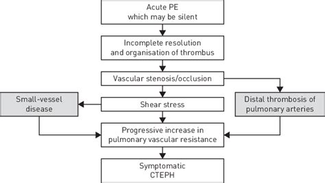 Natural History Of Chronic Thromboembolic Pulmonary Hypertension