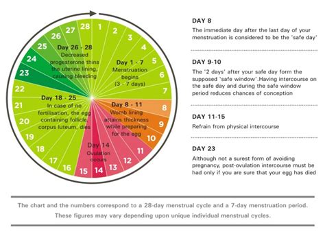 Period Cycle 2 Healthkart