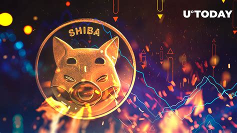 Shiba Inu Shib Burn Rate Tumbles Down By 40