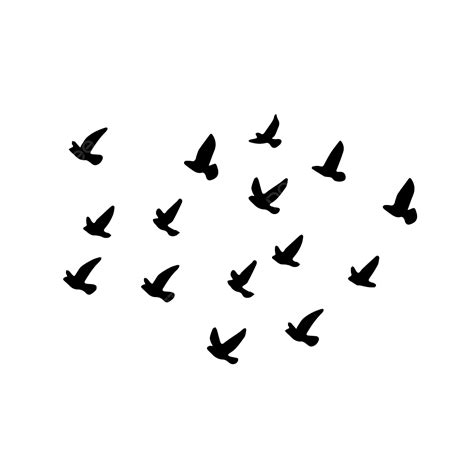 Gambar Beberapa Burung Terbang Di Langit Burung Burung Burung Terbang