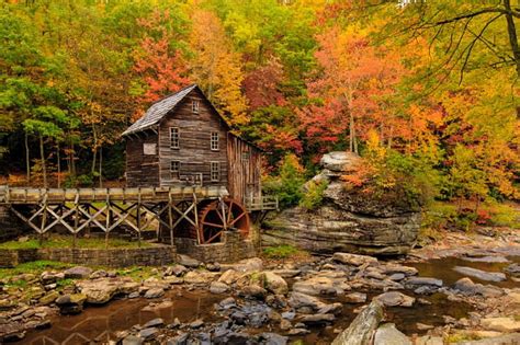 Autumn Forest Fall Trees Leaves Water Watermill Splendor